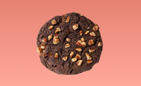 Galleta Tortuga